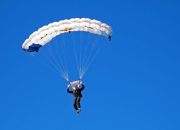 开云平台-赛道与球场，锡安在F1揭幕战的跨界统治