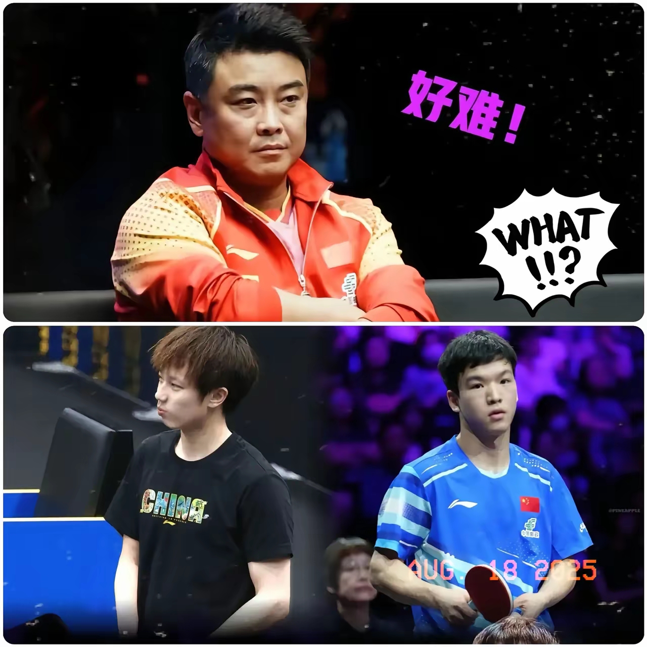 瑞典队翻盘波兰队，王皓惊艳四座的简单介绍