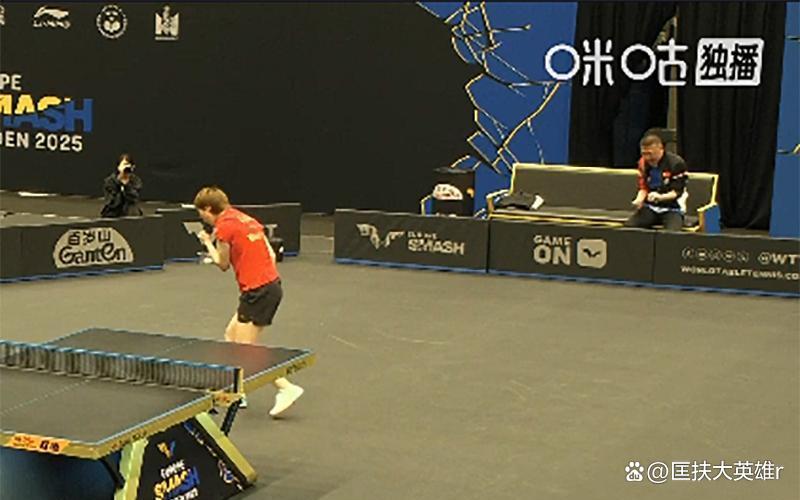 包含中国羽毛球队鏖战法国羽毛球队，马琳惊艳世界的词条