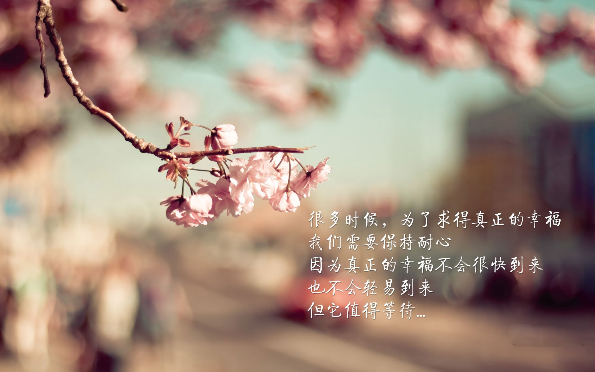 哈兰德点燃赛场,埃及速胜牙买加背后的战术与激情