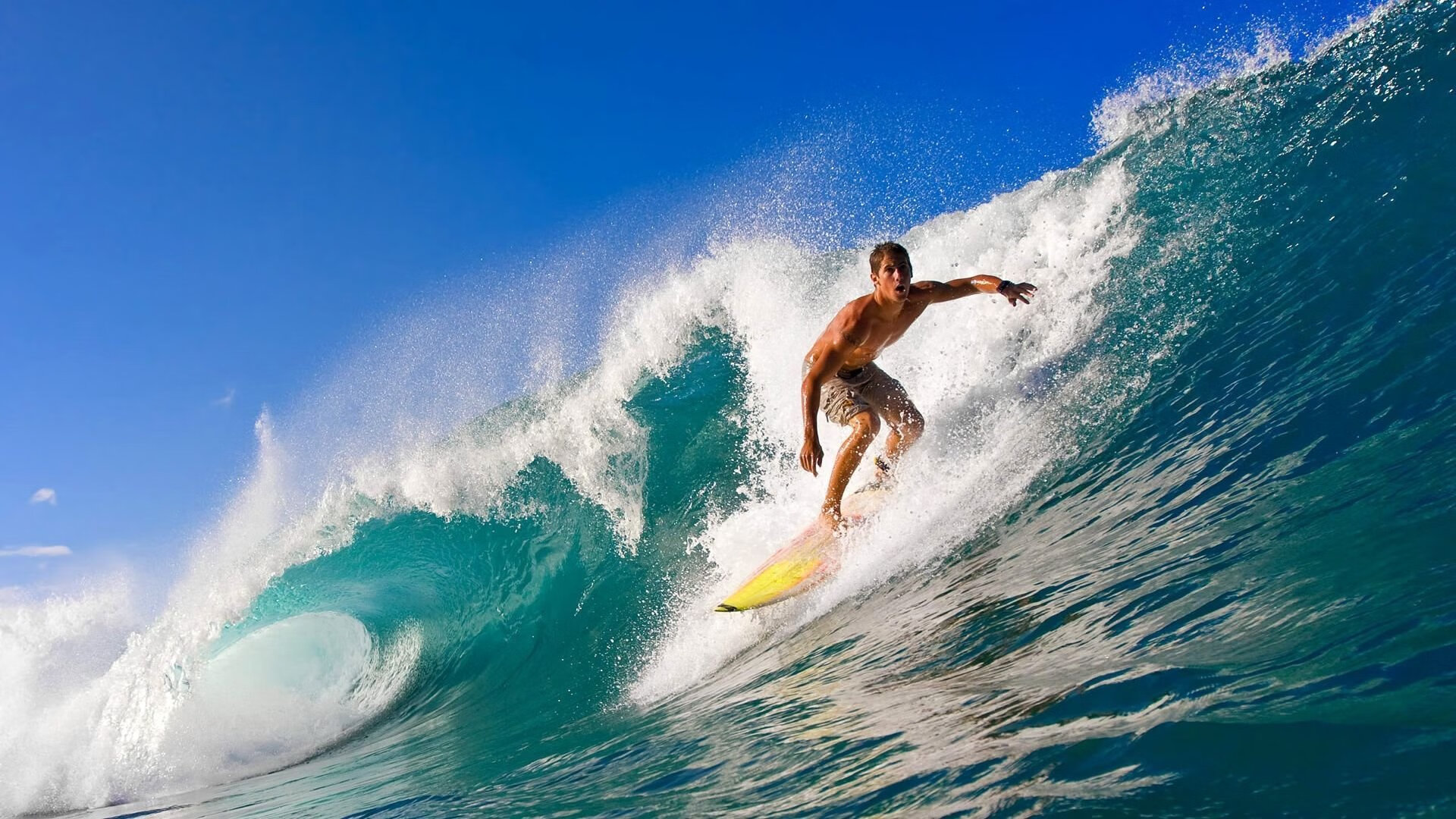 赛道与绿茵场，日本双线告捷的启示