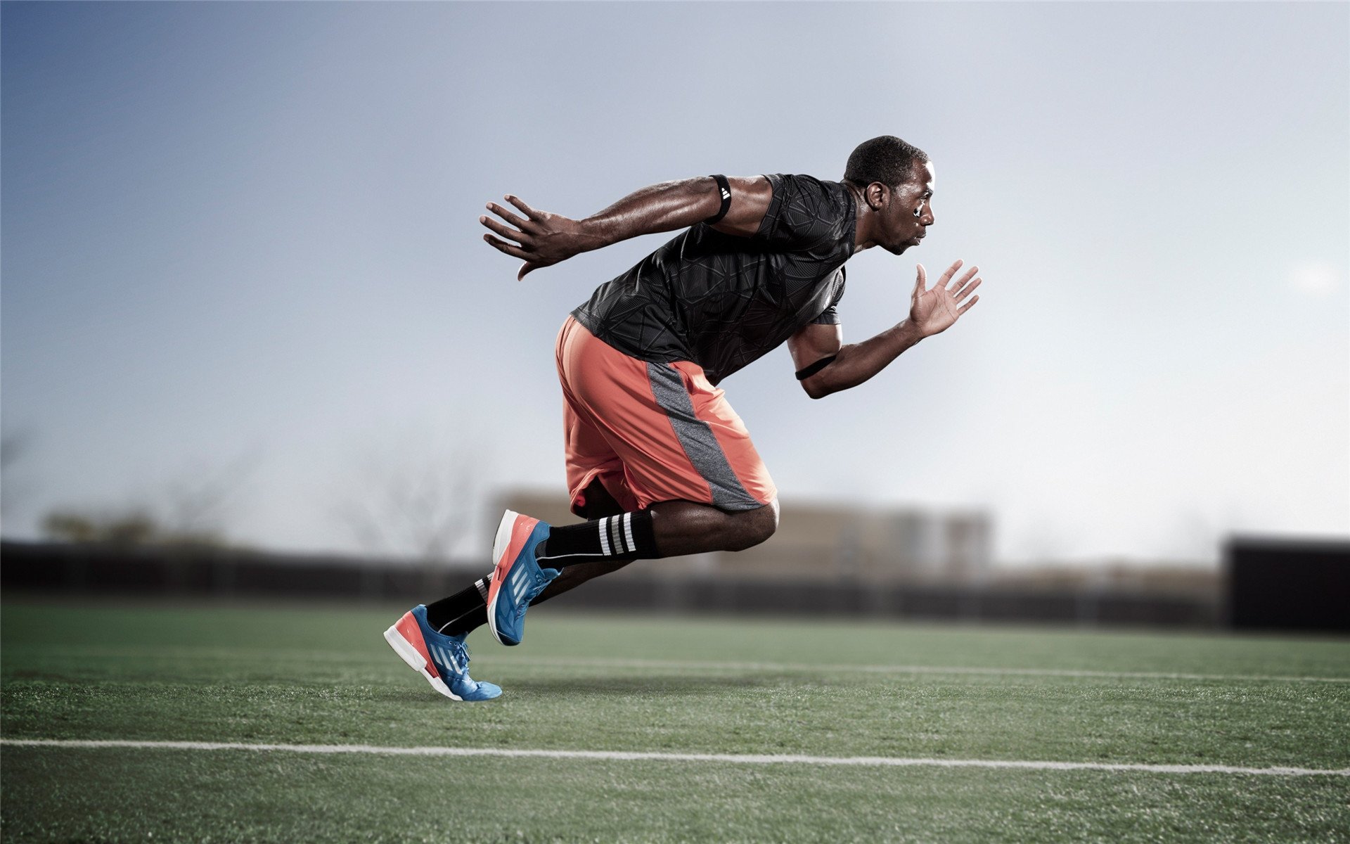 辽宁队碾压上海队,莫兰特点燃赛场